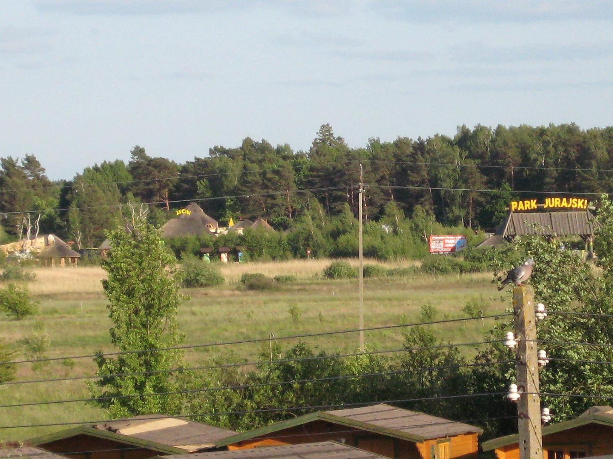 Villa Remedios Łeba Exteriör bild
